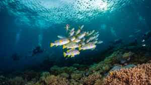 Raja Ampat Islands, Indonesia