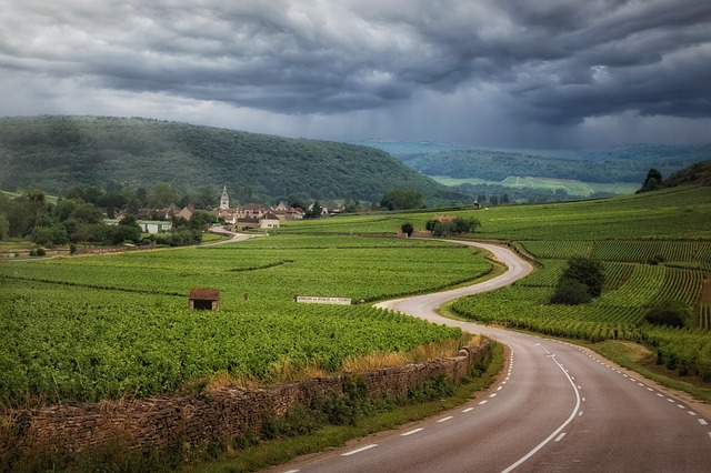 Liv-ex reports a decline in prices of Burgundy grand cru