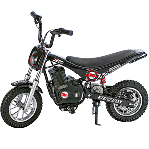 Burromax TT250 Electric Mini Bike