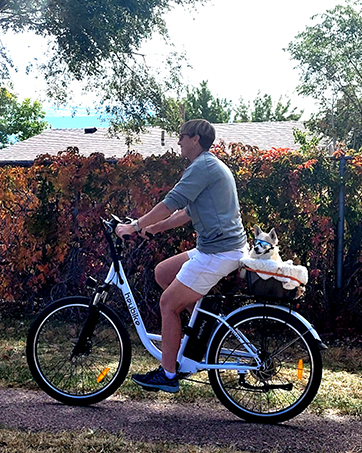 electric bike for adults