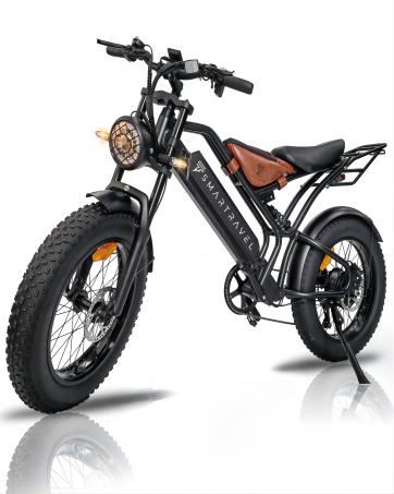 e bike