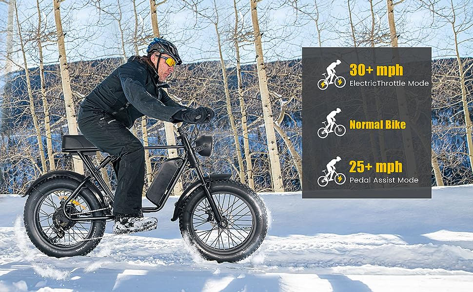 adult electric bicycles 3 mode