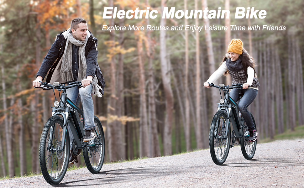 electric bikes