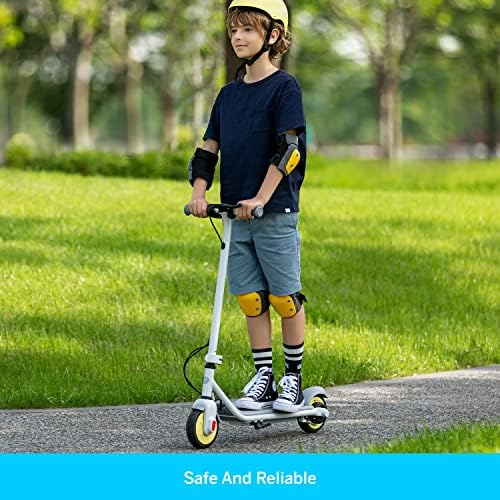 Electric Kick Scooter