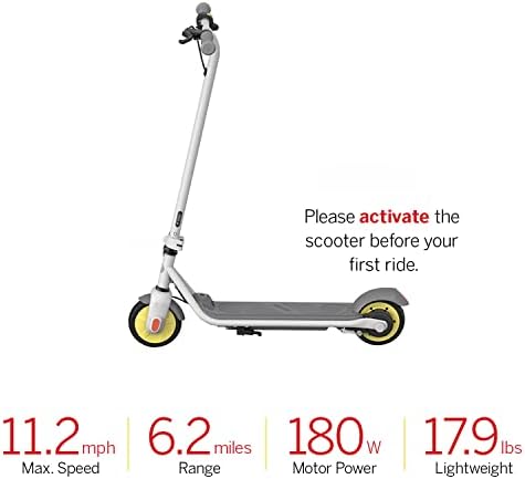 Electric Kick Scooter