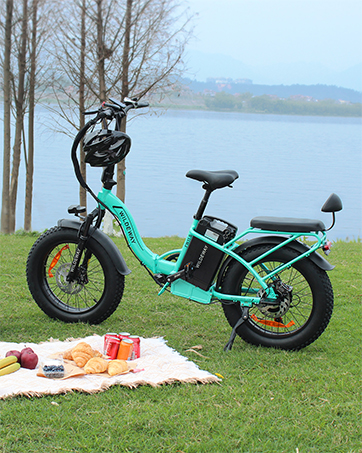 long range electric bike