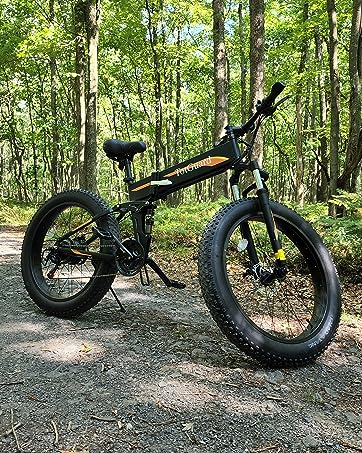 fat tire electric bike