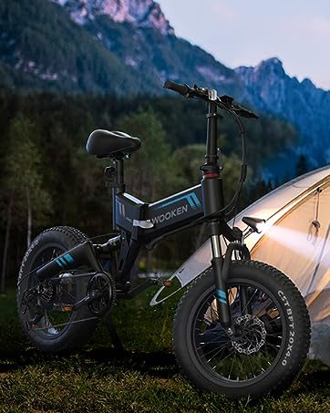 fat tire electric bicycle