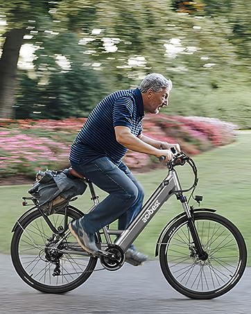 ebike for old man