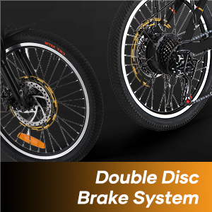 Double Disc Brake