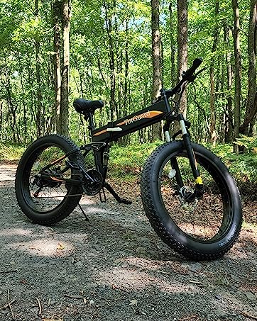 fat tire electric bike