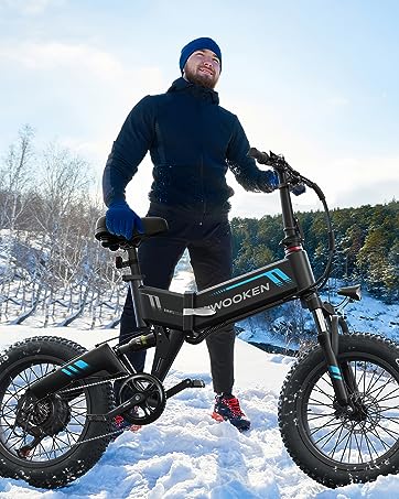 fat tire ebike