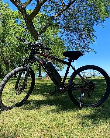 electric bike for adults