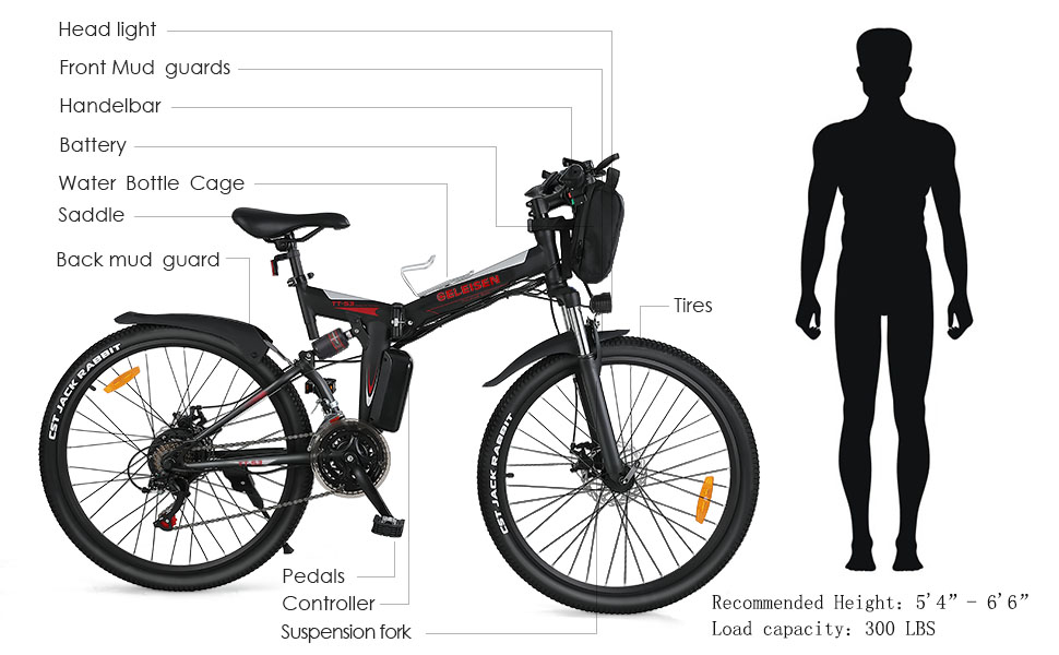 electric bike for adults