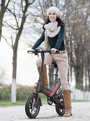 folding electric bike