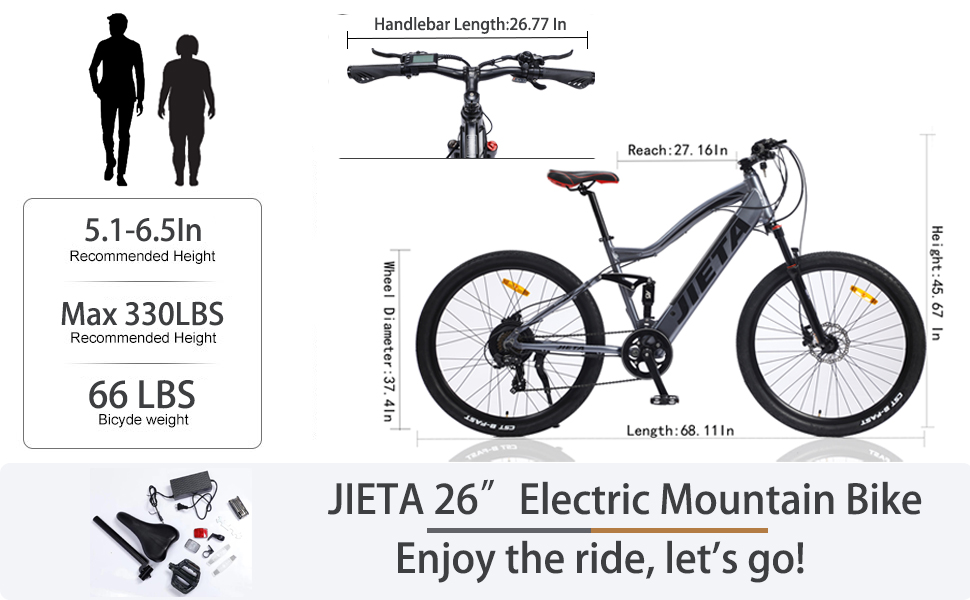 adult electric bicycles