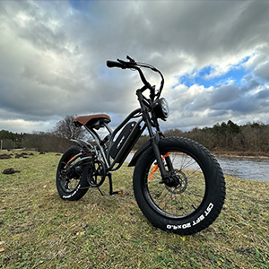 Jansno X50 Electric Bike