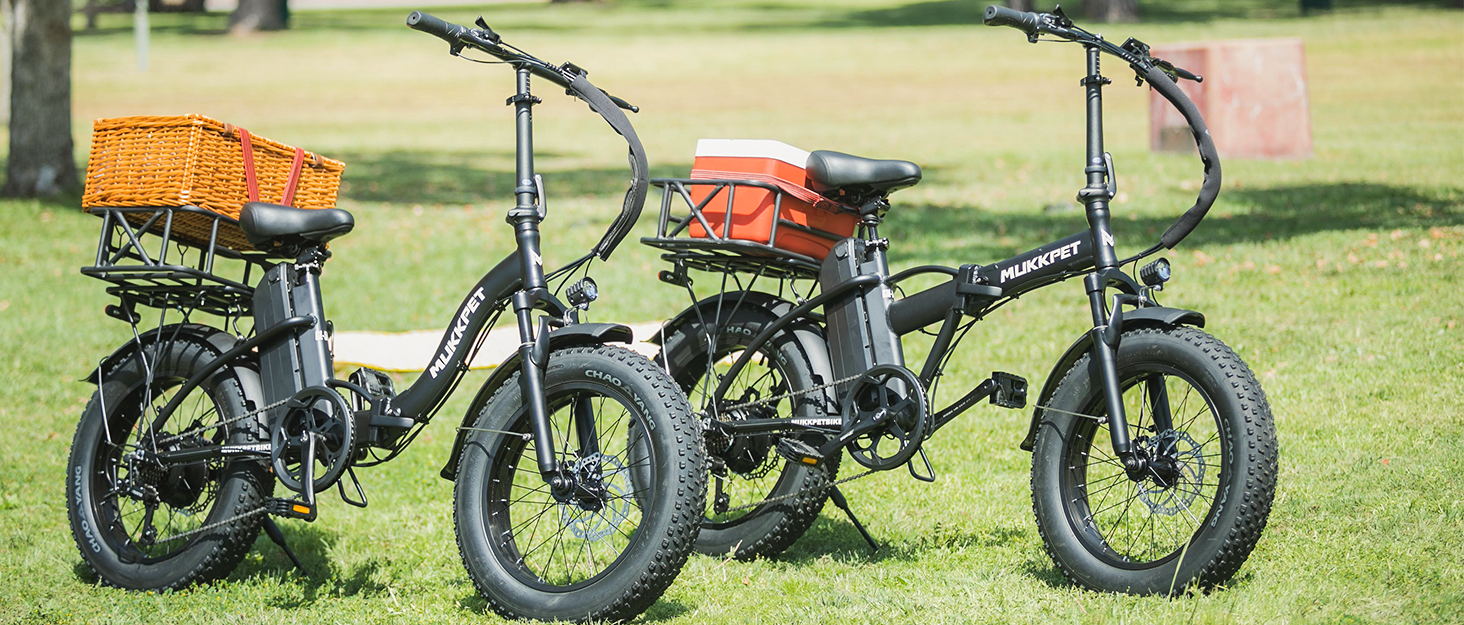 Mukkpet Electric Bike