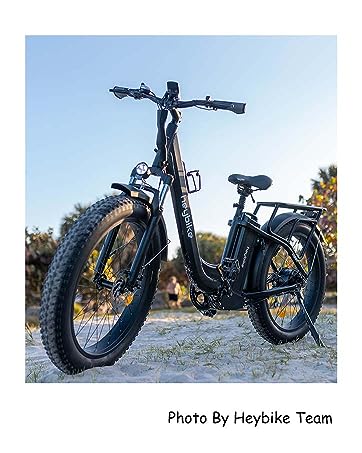 electric bike for adults