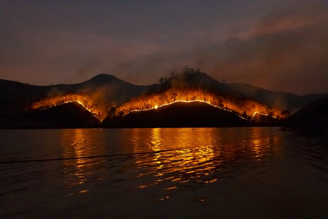 Devastating Impact of Maui Wildfires on Restaurant Workers and Tourism