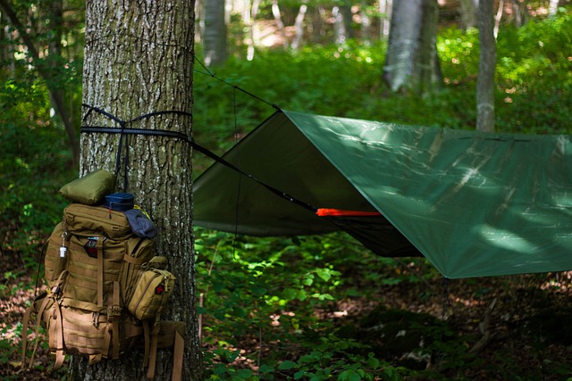 Reviewing Ultra Tarps and Backpacks: A Long-Term Perspective