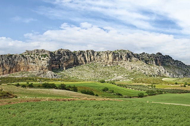 Exploring the Impact of Paraje Altamira: Argentina's Transformed Terroirs & 20 Tasted Wines