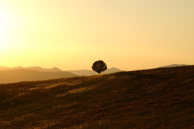 Exploring Umbria: A Guide to Dining, Accommodation, and Activities in the 'Green Heart of Italy'