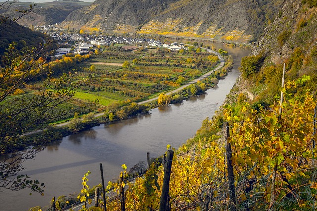 Global Female Winemakers Transforming the Landscape of Italian Wine