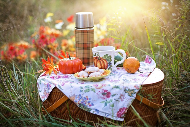 Must-Haves for a Perfect Picnic