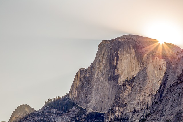 Half Dome Now Conquered by Yosemite's Bears