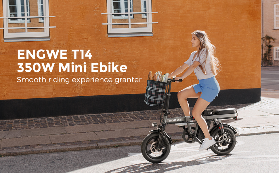 electric bike for adults