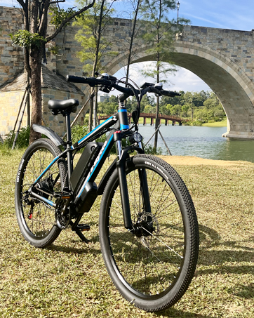 750w ebike