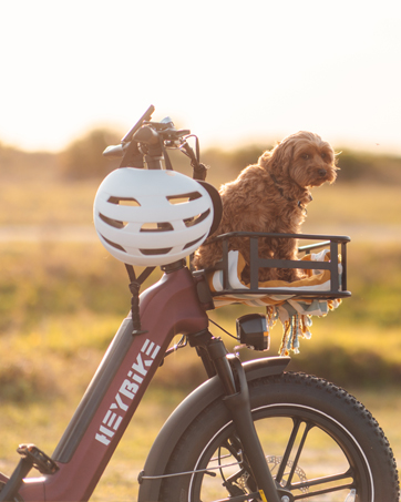 electric bike for adults