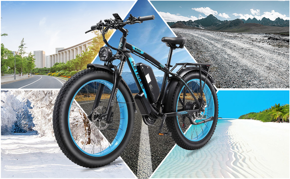 1000W electric bike