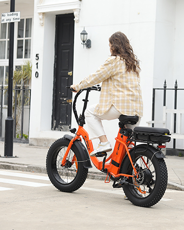 electric bike