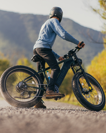 ebikes for adults