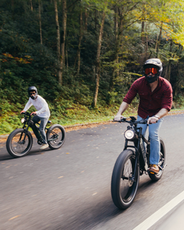 electric bicycle for adults