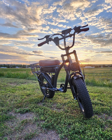 womens bikes for adults