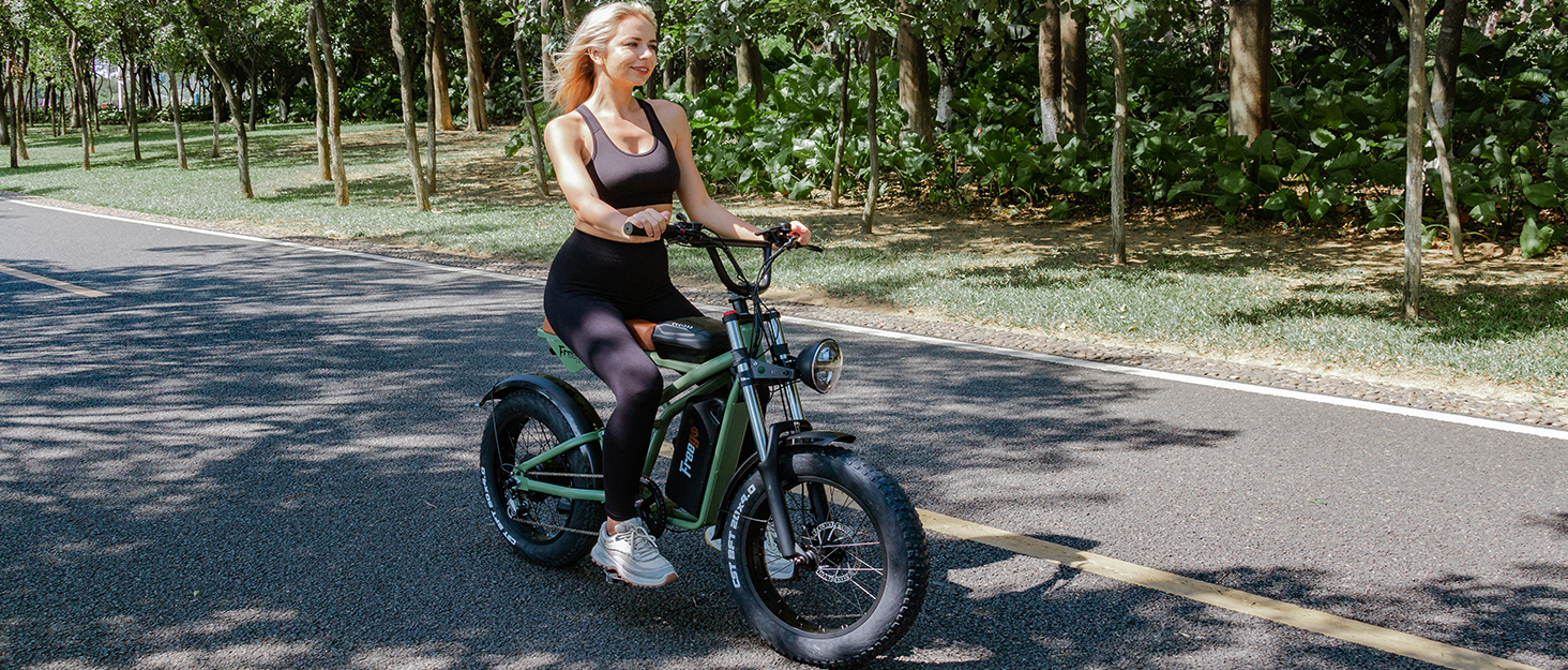 electric bike electric bike for adults ebikes for adults e bike ebike adult electric bicycles