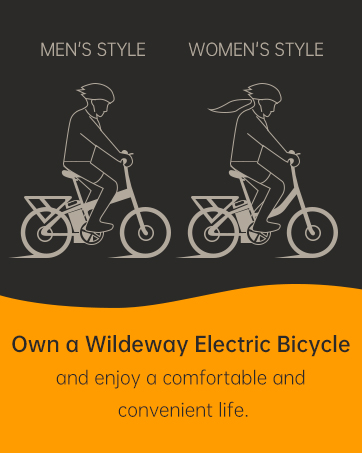 Electric Bike2