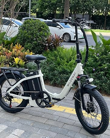  Electric Bike 4