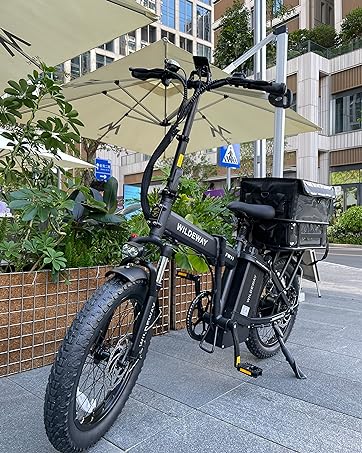  Electric Bike 4