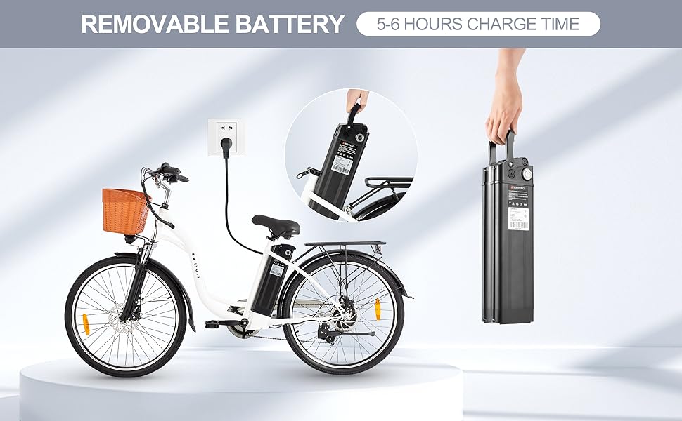 ebike adult