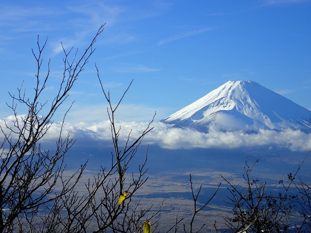 hakone sightseeing cruise