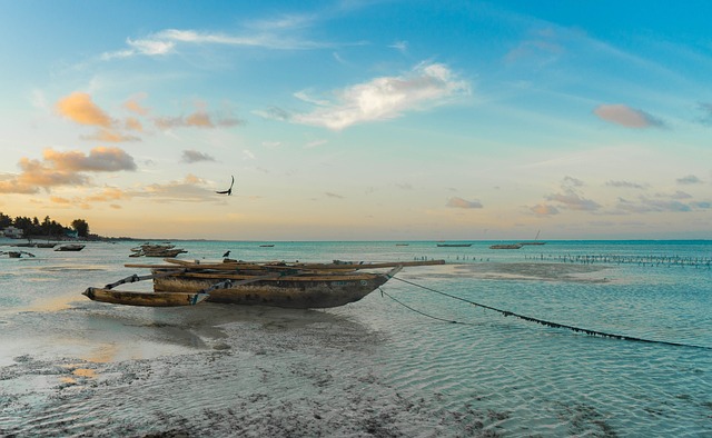 When is the ideal time to explore Zanzibar?