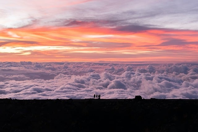 maui travel guide books