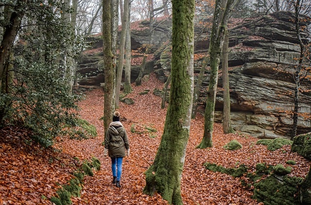 A Mother's Incredible Journey: Hiking 2,000 Miles with Her 13 Children