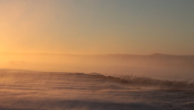 Exploring Nunavik: Inuit Storytelling and Arctic Wildlife Await Travelers