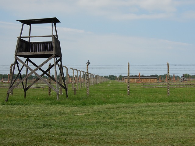 Unearthing the Forgotten Lakota Massacre: A Path to Healing Generational Wounds